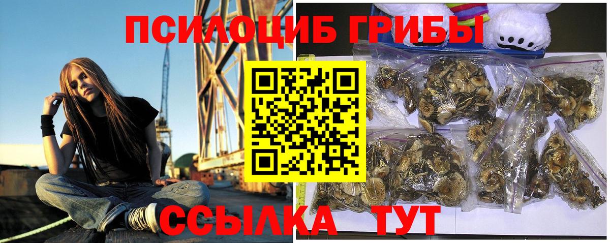 Краснознаменск  Галлюциногенные грибы GOLDEN TEACHER  Вход с VPN 