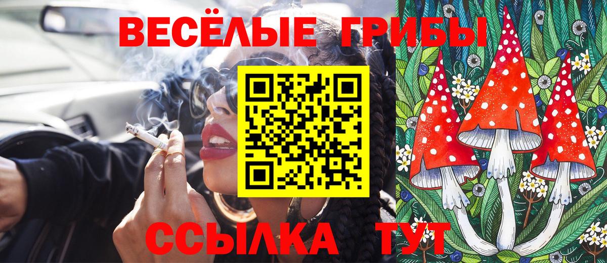 Галлюциногенные грибы Magic Shrooms Краснознаменск
