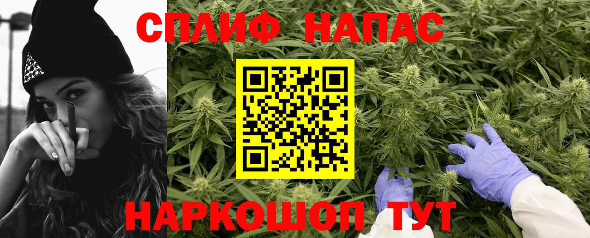 Каннабис Ganja Краснознаменск